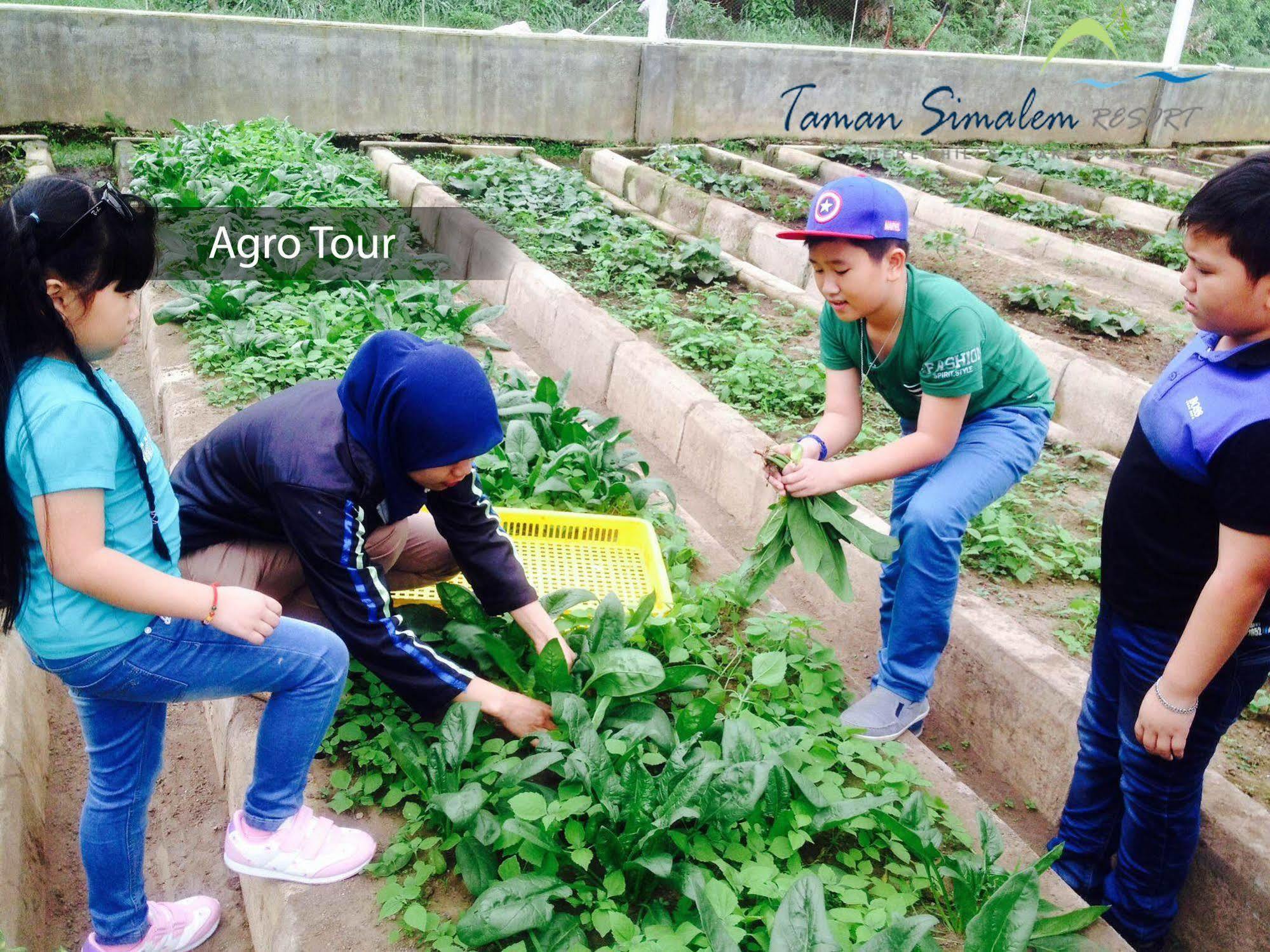 Taman Simalem Resort Tongging Exterior foto