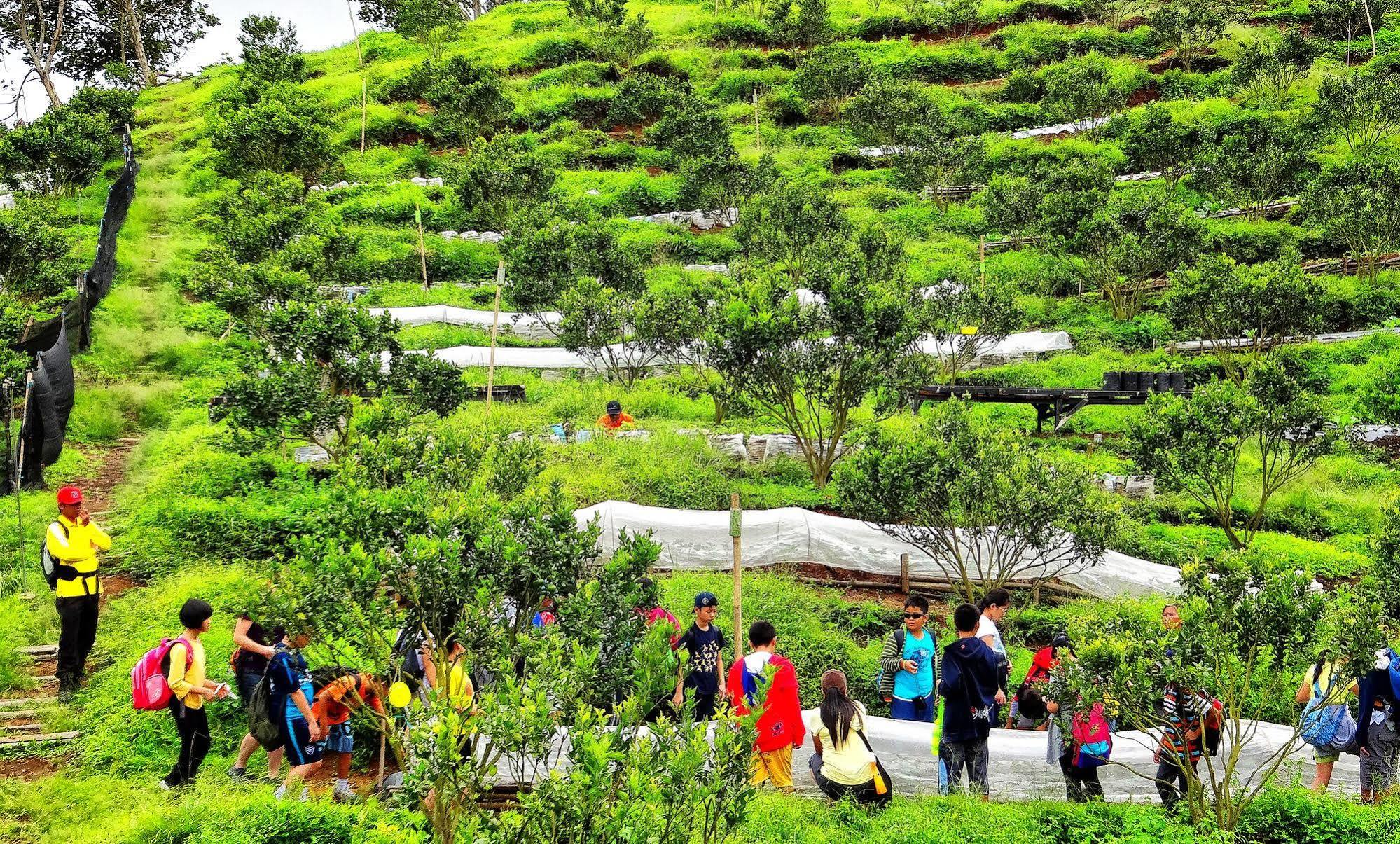 Taman Simalem Resort Tongging Exterior foto